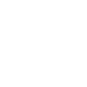TLI_Logo_Rev